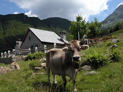 Nei dintorni del Rifugio..........